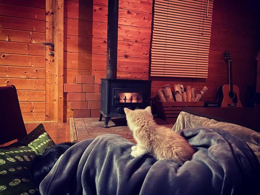 Oasis Biei Daire Dış mekan fotoğraf