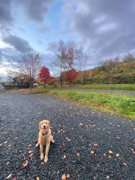 Oasis Biei Daire Dış mekan fotoğraf